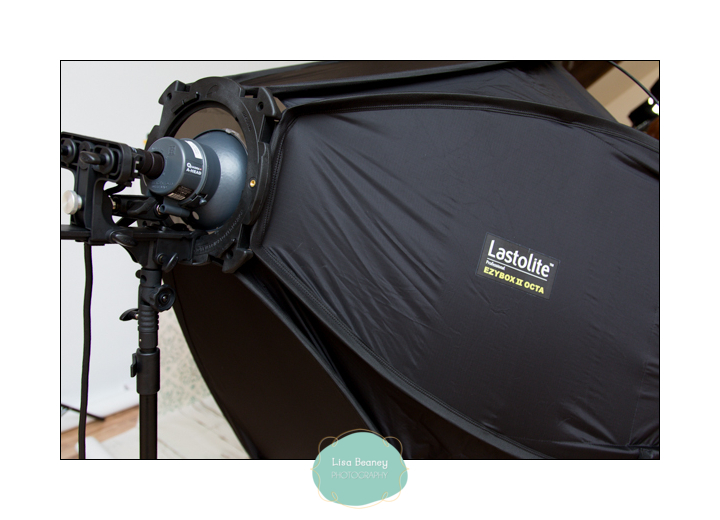 Lastolite Ezybox II Octa with Elinchrom Quadra